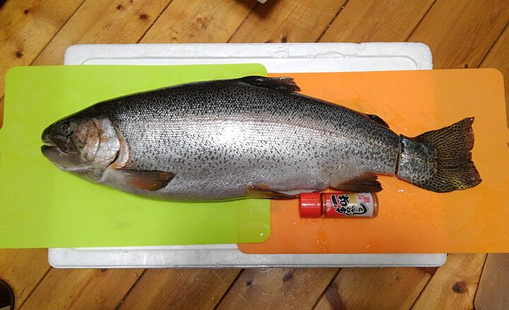 野生化巨大ニジマスを丸ごとスモークトラウトにした 燻製を作ってみた 野食ハンマープライス