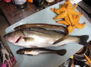 ヒトデ,食べる,料理