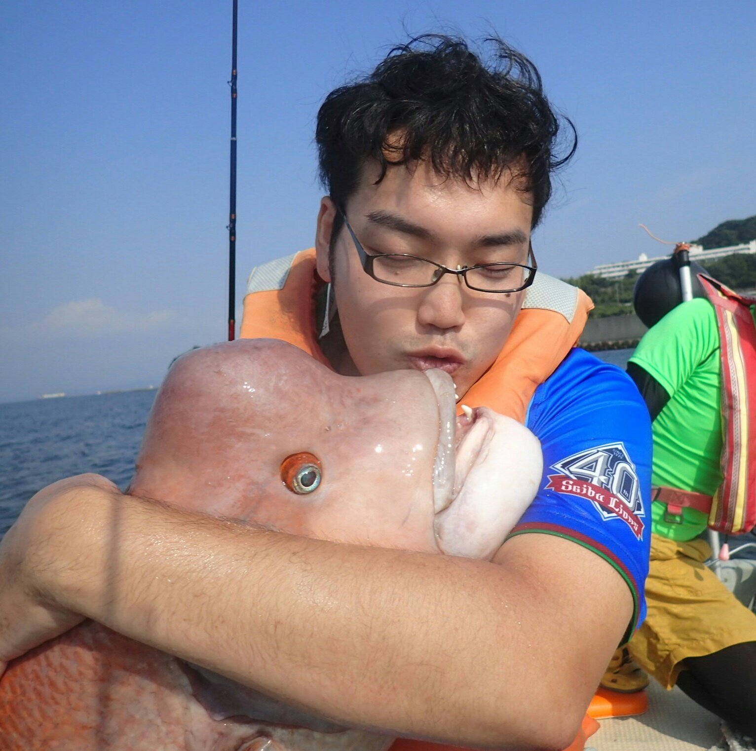 コブダイのコブを生ハムにしてみた 野食ハンマープライス