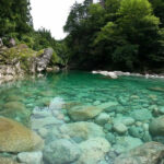 河川の違いがアユの味の違いにつながるのか確認してみた