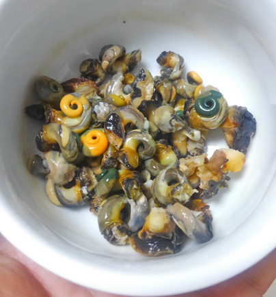 磯の貝を集めて蜷味噌 になみそ を作ってみた 野食ハンマープライス
