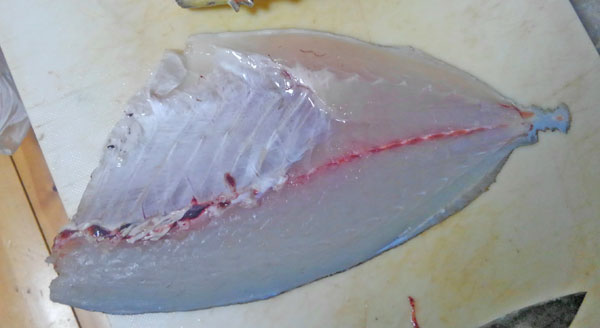 小便魚 アイゴの内臓 ぜんまい を食べてみた 野食ハンマープライス
