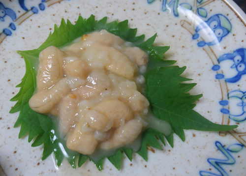 スズメバチ幼虫の塩辛なら高貴な方をもてなせる 野食ハンマープライス