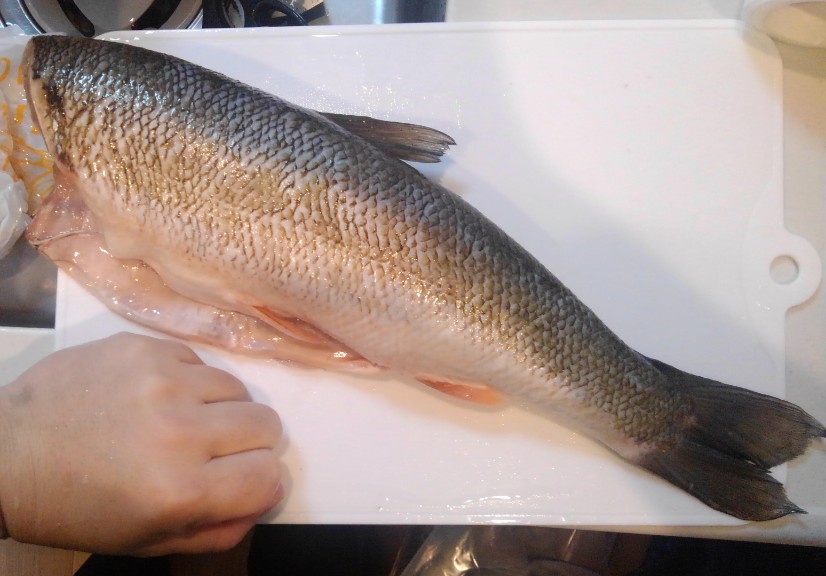 河口のウグイで作る 〆石斑魚 がめっちゃ旨い 野食ハンマープライス