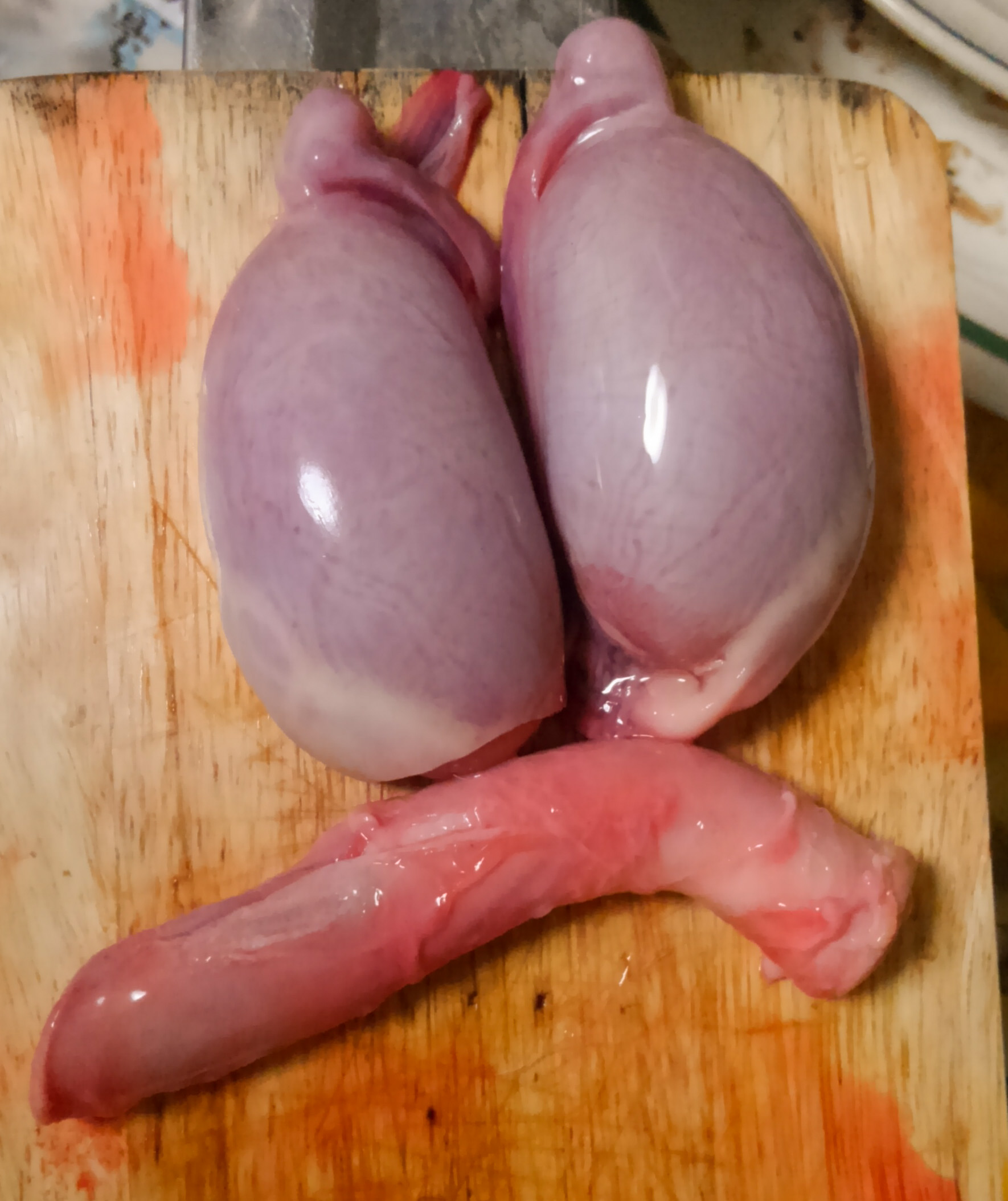 シカの睾丸と陰茎で珍宝な薬膳スープを作ってみた 野食ハンマープライス