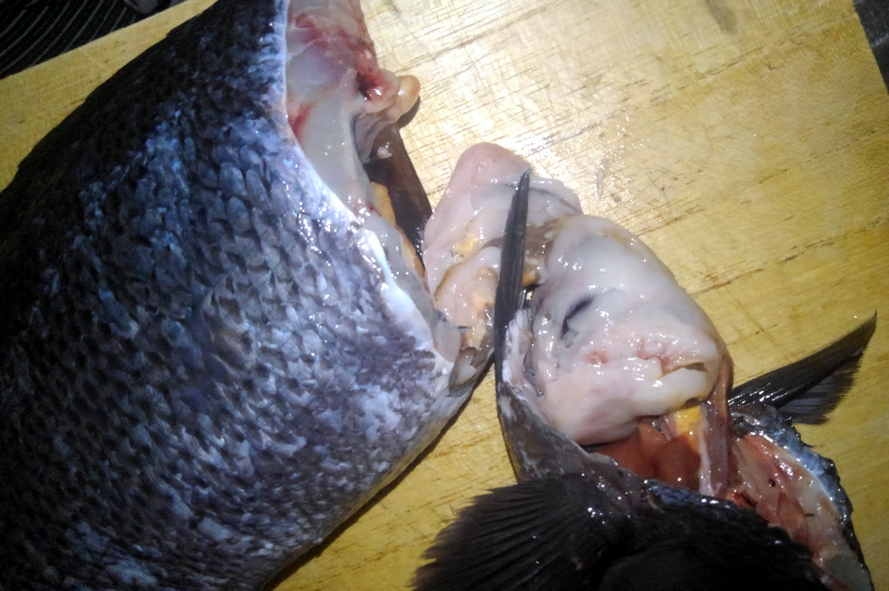 東京湾奥産のメジナは内臓 ぜんまい まで美味い 野食ハンマープライス