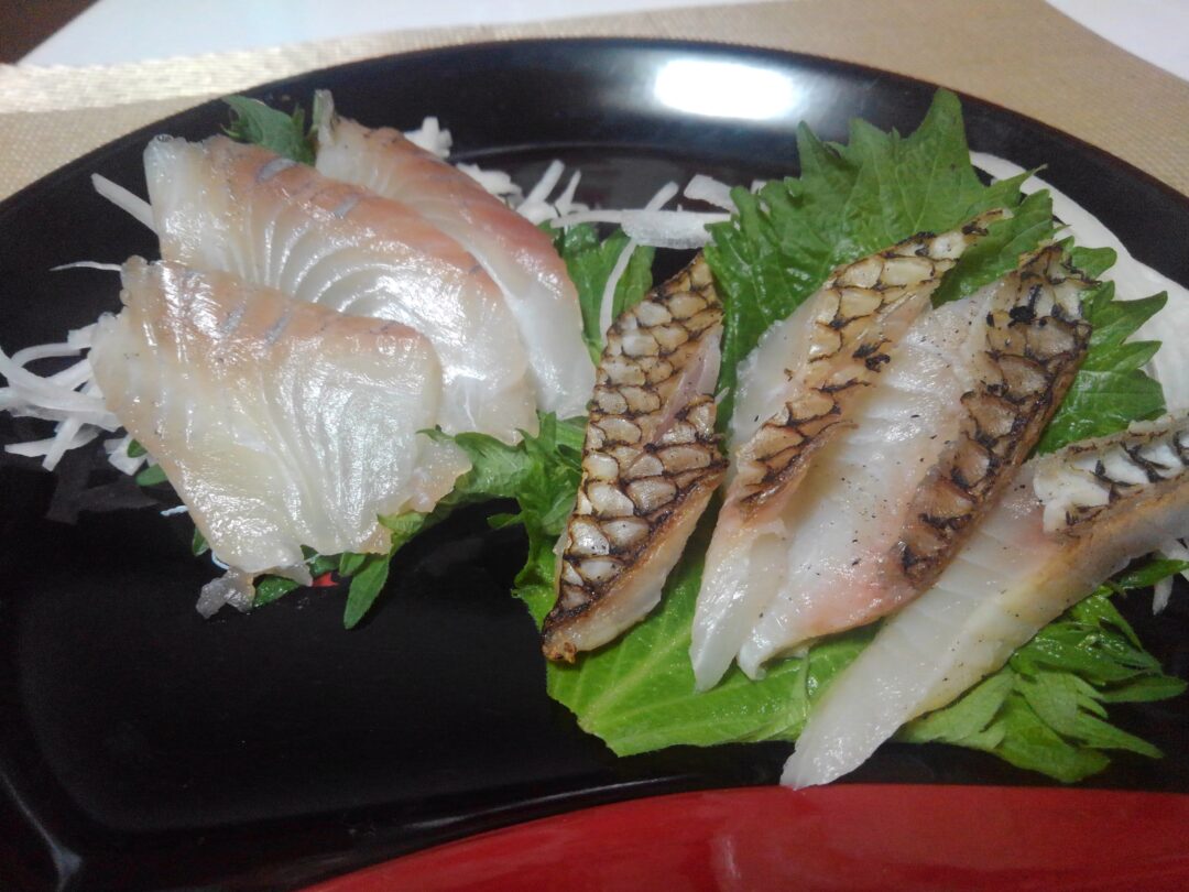 排水路で異常繁殖する 泉の鯛 ナイルティラピアを釣って食べてみた 刺身で食べてみた 野食ハンマープライス