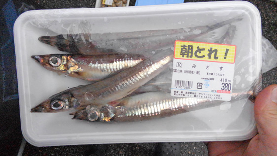 ミギス メギス ミギシ ニギス ギス ウルメイワシ カマス エソ 野食ハンマープライス