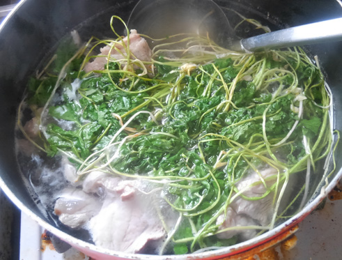 ラム肉が獣臭かったのでプクサキナでヒンナヒンナした 野食ハンマープライス