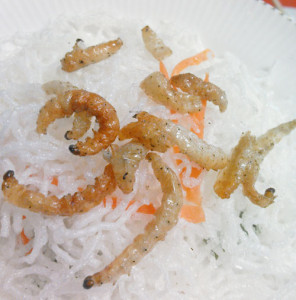 竹虫,タケツトガ,から揚げ