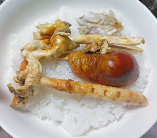 タマゴタケの焼きタマゴ丼 殻添え と卵焼き 野食ハンマープライス