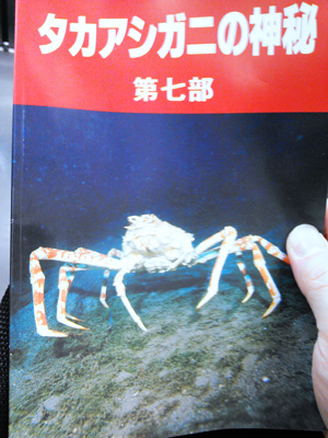 世界最大の節足動物 タカアシガニを食べる 野食ハンマープライス