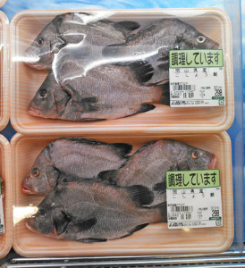 岡山ではイサキ科の背鰭の目立つ魚はみんな「こしょう鯛」か「たもり」