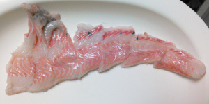 イラコアナゴ,刺身,東京湾深海魚