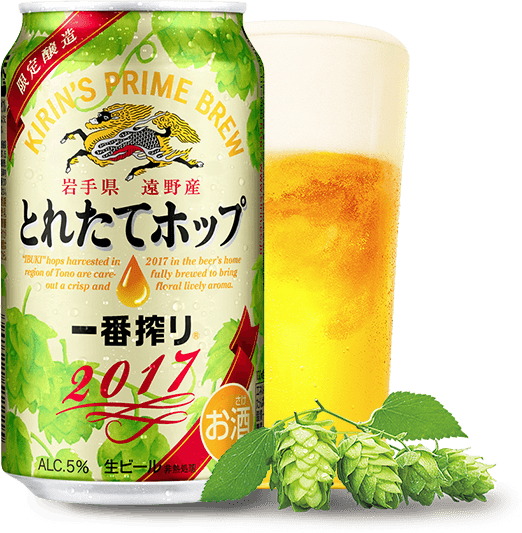 ホップ味噌でビールを飲むという贅沢について 野食ハンマープライス