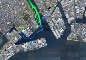 ホームグラウンドの一つ、江戸川放水路の航空写真。 青矢印が淡水を含んだ反転流、緑で塗りつぶした部分が自然堤防で斜線部分が後背湿地。